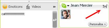 Secret smiles of Skype
