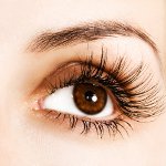 Eyebrow shape by type of face Eyebrow shape by type of face