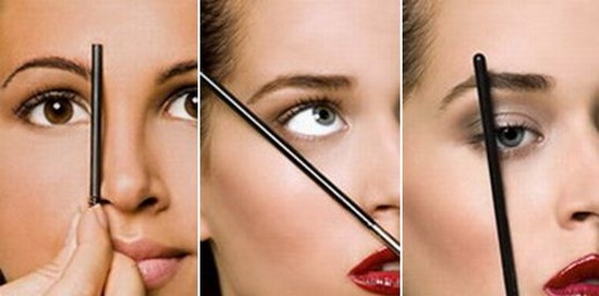 Forms of eyebrows
