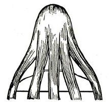 How to braid a scythe? How to braid a scythe?