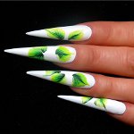 Chinese Nail Painting for Beginners Chinese Nail Painting for Beginners