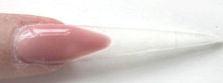Chinese Nail Painting for Beginners Chinese Nail Painting for Beginners
