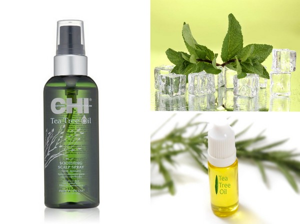 Summer moisturizing: a collection of hair care SHI Tea Tree Oil