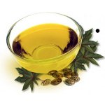 Masks with castor oil for hair Masks with castor oil for hair