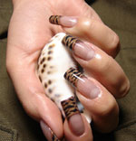 Fashionable manicure in autumn 2010 Fashionable manicure in autumn 2010