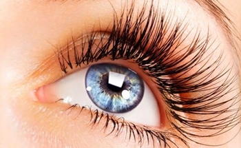 Folk remedies for eyelash growth: what to do to grow eyelashes?