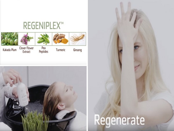 Hair strength from roots to tips: Paul Mitchell Tea Tree Scalp Care series