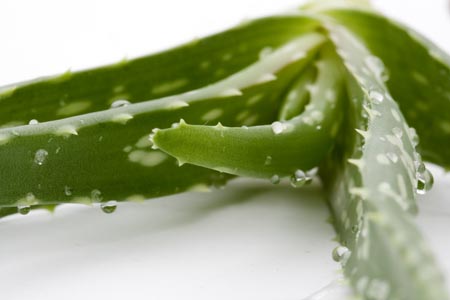Winter facial treatment: Nourishing mask for dry, fading skin at home