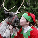 How to create a festive mood