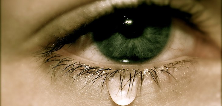 close-up eye