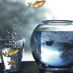 Comfort Zone: how to expand it? Comfort Zone: how to expand it?