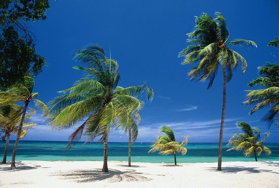 Resorts worth visiting