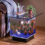 Aquarium with own hands Aquarium with own hands