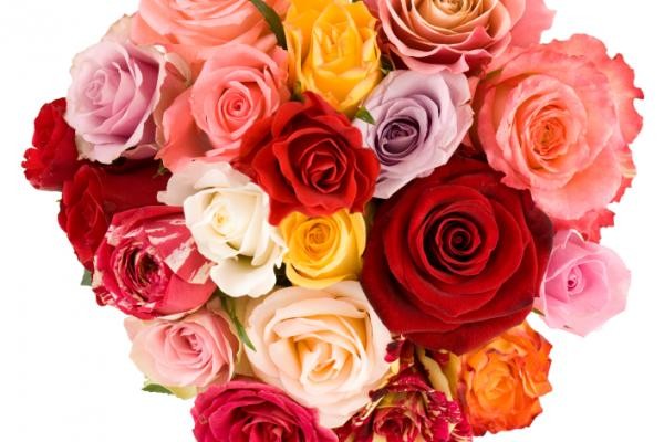 Valentine's Day 2016: original gifts and the best greetings in verse