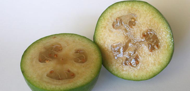 Feijoa - useful properties, benefits and harms of feijoa