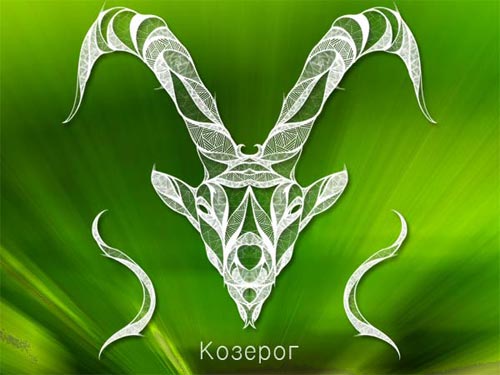 drawing for women ibex