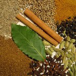 Indian condiments and spices Indian condiments and spices