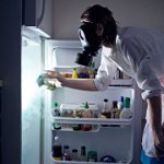 How to get rid of the smell in the fridge