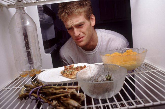 How to get rid of the smell in the fridge