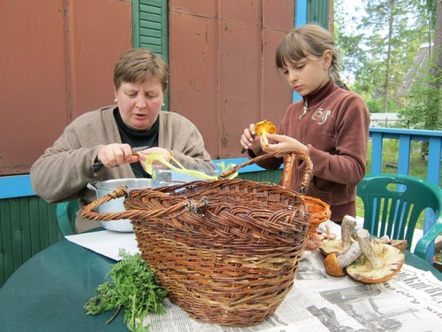 How to clean mushrooms: practical tips