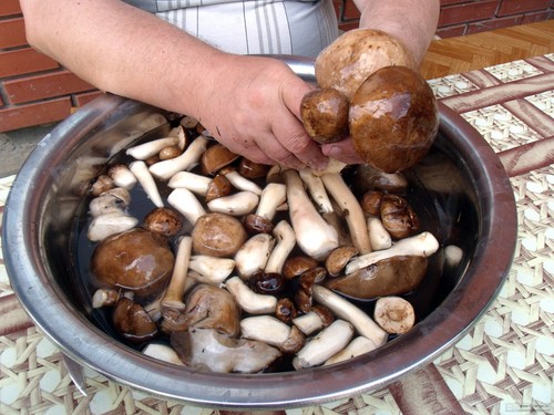 How to clean mushrooms: practical tips