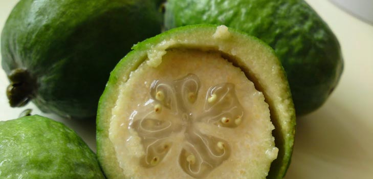 How to eat feijoa: how to eat properly feijoa