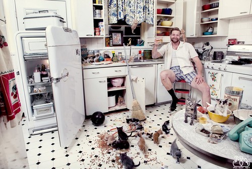 How to get rid of the mess in the kitchen once and for all: 5 steps to cleanliness and comfort