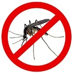 How to get rid of mosquitoes? How to get rid of mosquitoes?