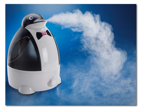 How to measure the humidity of the house: the norm and how to achieve it