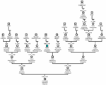 How to study your pedigree