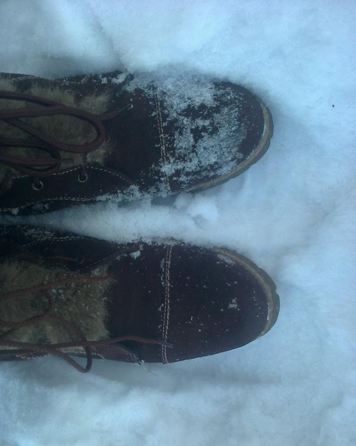 How to clean suede shoes at home