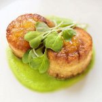 How to cook scallops How to cook scallops