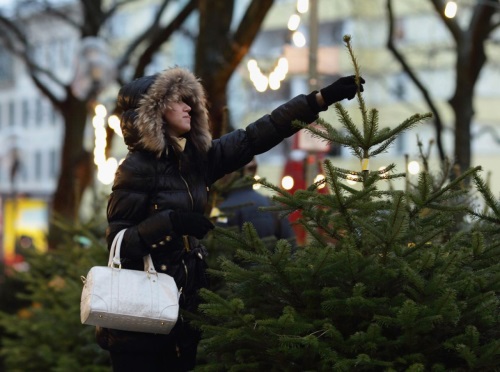 How to make a tree last longer