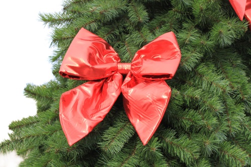 How to make a tree last longer