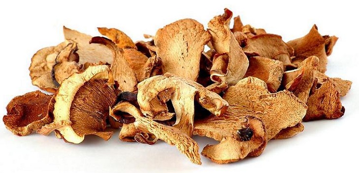 How to Dry Mushrooms