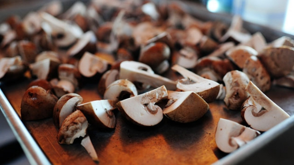 How to Dry Mushrooms