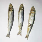 How to Dry Fish How to Dry Fish