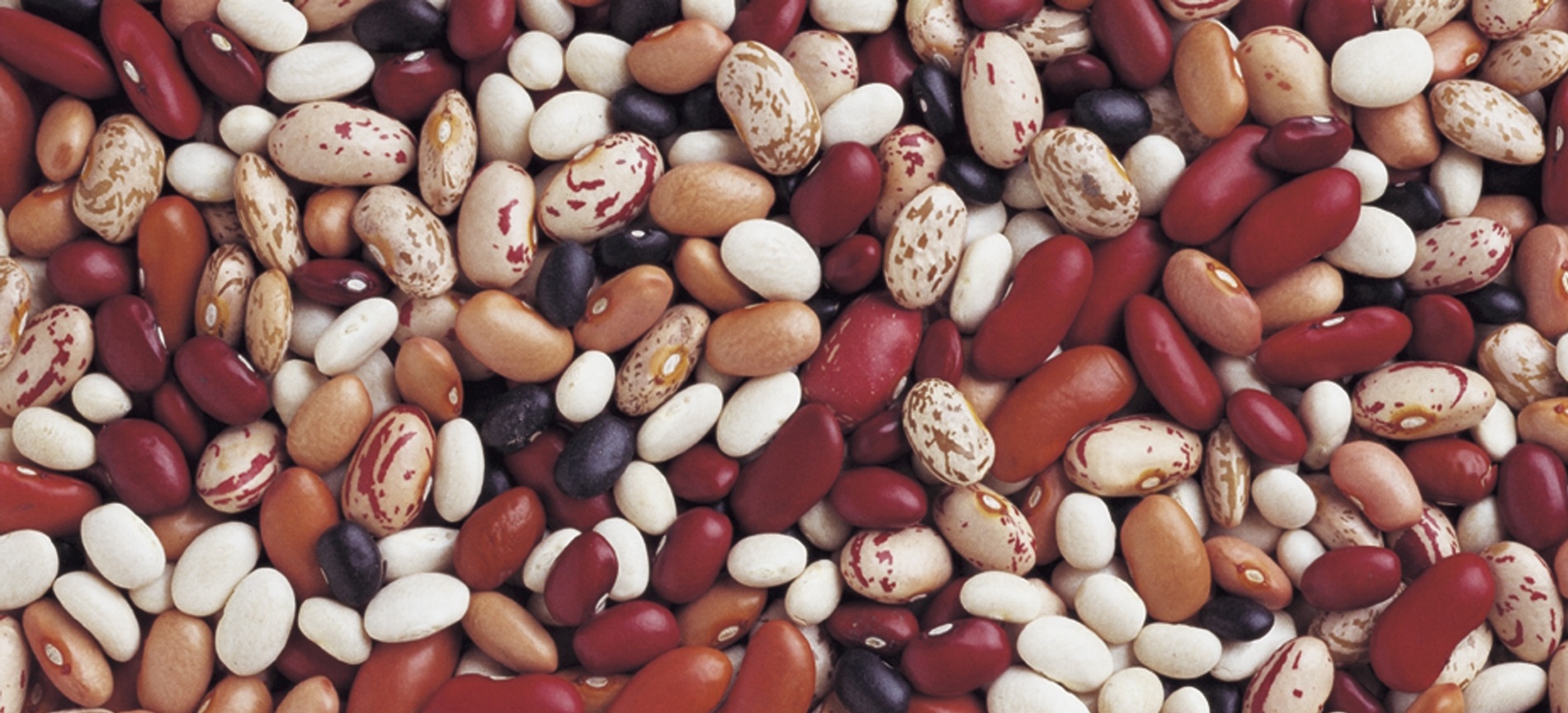 How to cook beans