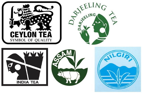 How to cheat tea sellers: Choosing a quality product