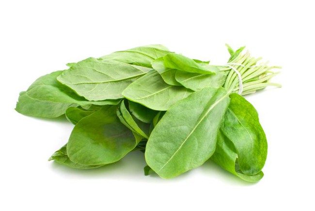 How to procure sorrel for the winter? How to procure sorrel for the winter?