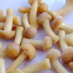 How to freeze mushrooms for the winter How to freeze mushrooms for the winter