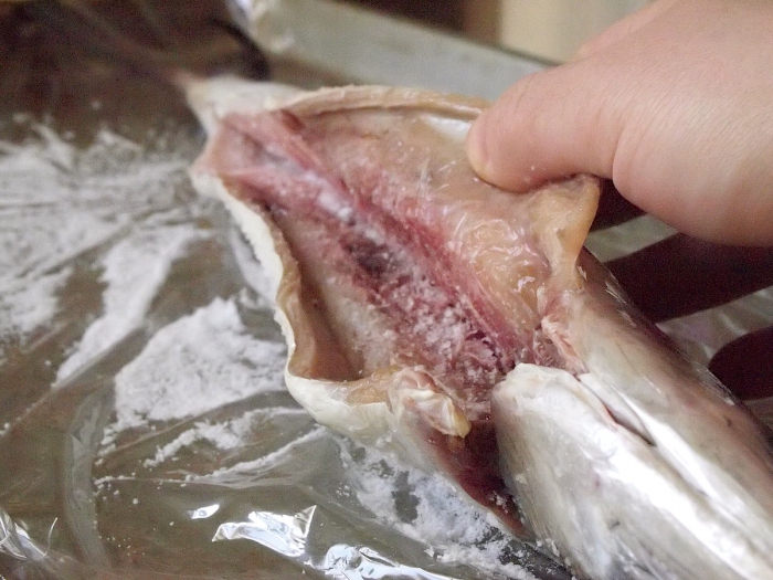 How to pick up mackerel?