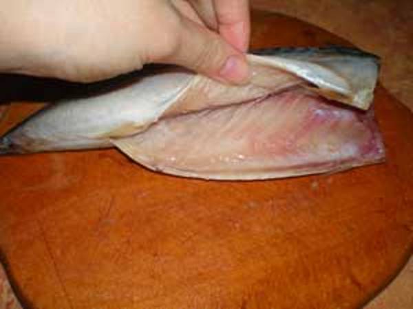 How to pick up mackerel?