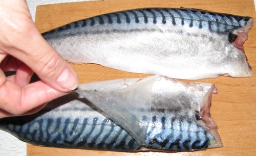 How to pick up mackerel?