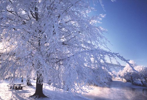 What will be the winter of 2014 - 2015, weather forecasts