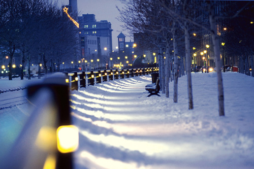 What will be the winter of 2014 - 2015, weather forecasts