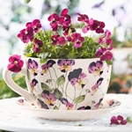 What flowers to give on March 8