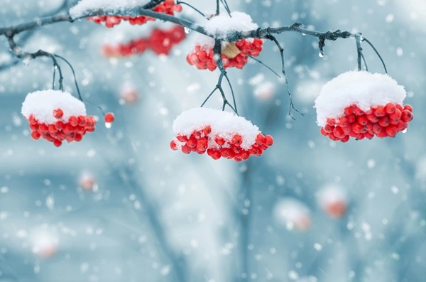What will be the winter of 2017-2018 in Russia and Ukraine - the most accurate forecast of the Hydrometeorological Center
