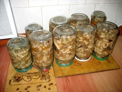 Canned mushrooms for the winter