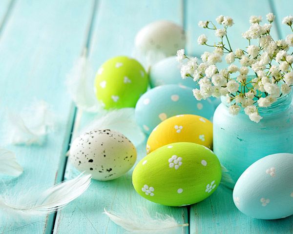 Congratulations on Easter 2017 - short